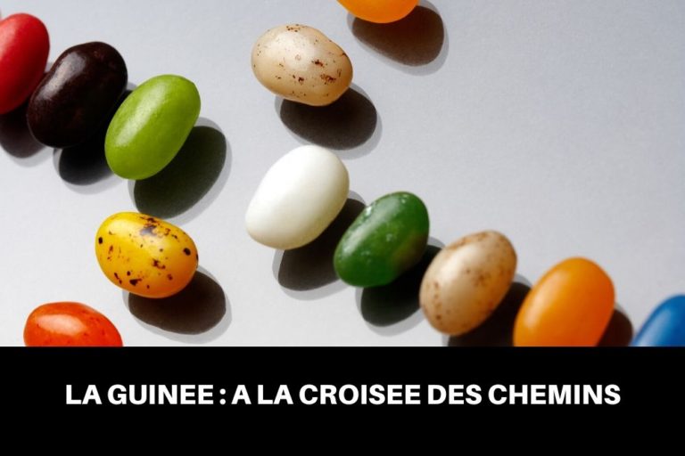 LA GUINÉE À LA CROISÉE DES CHEMINS